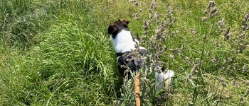 IMG_7945.jpeg