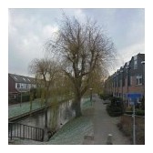 bomen-boslaan-150x150.jpg