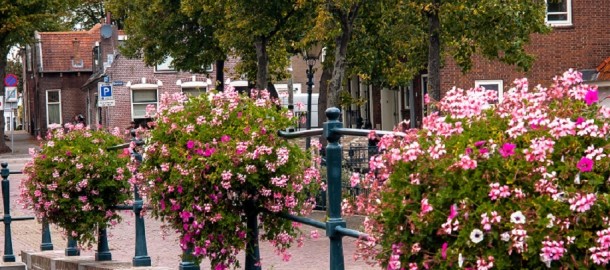 hanging baskets